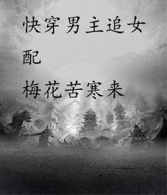 快穿男主追女配