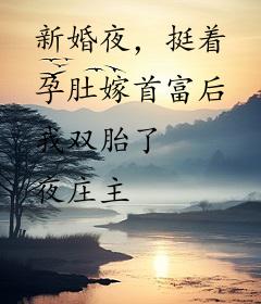 新婚夜，挺着孕肚嫁首富后我双胎了