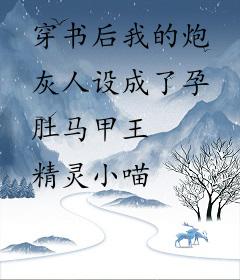 穿书后我的炮灰人设成了孕肚马甲王