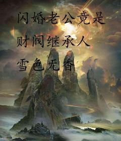 闪婚老公竟是财阀继承人