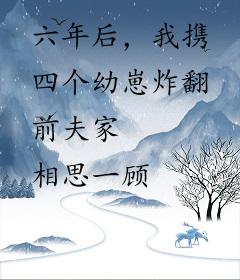 六年后，我携四个幼崽炸翻前夫家