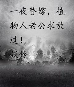 一夜替嫁，植物人老公求放过！