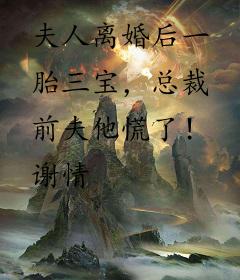 夫人离婚后一胎三宝，总裁前夫他慌了！