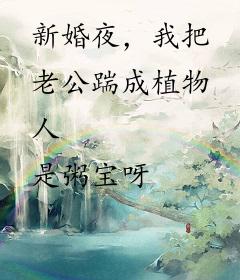 新婚夜，我把老公踹成植物人