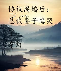 协议离婚后：总裁妻子悔哭了