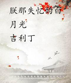 朕那失忆的白月光