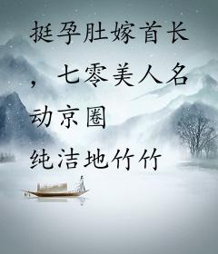 挺孕肚嫁首长，七零美人名动京圈