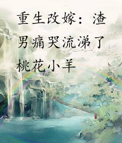 重生改嫁：渣男痛哭流涕了