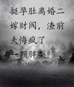 挺孕肚离婚二嫁财阀，渣前夫悔疯了