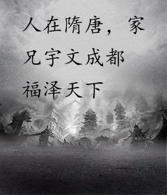 人在隋唐，家兄宇文成都